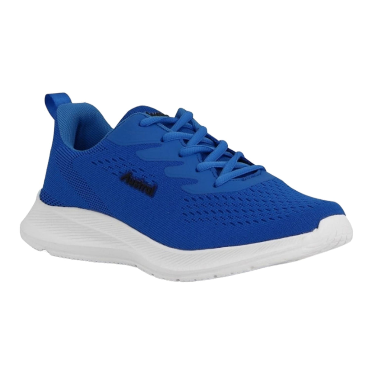 Champion Austrial Azul Francia