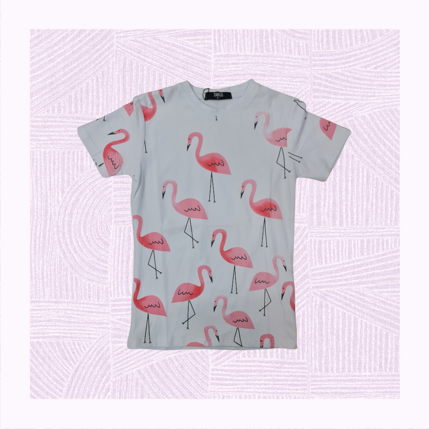Remeras infantil